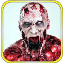 The Walking zombies-Killer APK