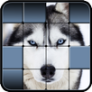 Hidden Pics APK