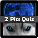 2 Pics Quiz APK