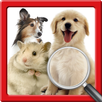 Zoom Out Animal APK