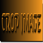 image crop-icoon
