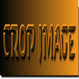 image crop icône