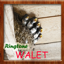 Ringtone Pemanggil Walet APK