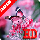 Butterfly Wallpapers иконка