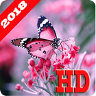 آیکون‌ Butterfly Wallpapers