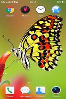 Butterfly Wallpapers скриншот 3