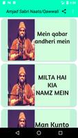 Amjad Sabri Naat & Qawwali Screenshot 2