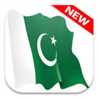 Pak-E-Services icône
