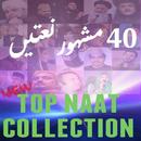 Top Naat Collection APK