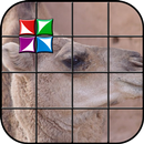 Tile Puzzle Camel APK