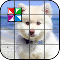 Piastrelle Puzzle Cane Bambino