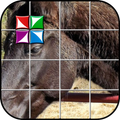 Płytki Puzzle Czarny Koń