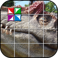 Dachówka Dinozaur Puzzle
