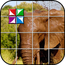 Tile Puzzle Elephant APK