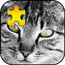 Cute Cats Jigsaw Puzzle APK