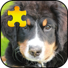Cute Dogs Jigsaw Puzzles Game icon