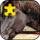 Black Horse Jigsaw Puzzles Game icon
