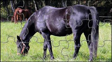 Black Horse Jigsaw Puzzles Game poster