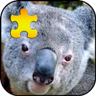 Koala Bear Jigsaw Puzzles Game-icoon