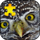 Owl Jigsaw Puzzles Game APK