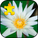 Lotus Jigsaw Puzzles Game APK