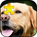 Labrador Jigsaw Puzzles Game APK