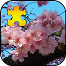 Sakura Jigsaw Puzzles Game APK