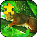 Squirrel Jigsaw Puzzles Game APK