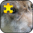 Wolf Jigsaw Puzzles Game APK
