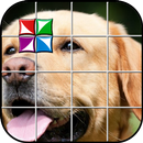 Tile Puzzle Labrador APK