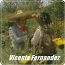 Vicente Fernandez Mix APK