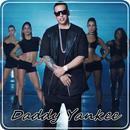 Daddy Yankee Shaky Shaky Songs APK