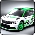 Rally Driver Race