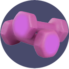 Gym Trainer 2017 icono