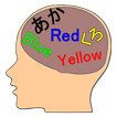 Brain Age measurement -Color-
