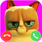 Angela Cat fake call prank আইকন