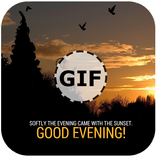 Good Evening Gif