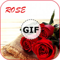 Rose Gif