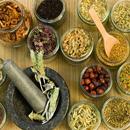Recipe herbal medicine healthy women men APK