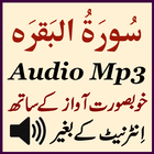 Amazing Surat Baqarah Audio icône