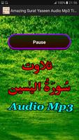 Amazing Surat Yaseen Audio Mp3 Screenshot 2