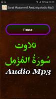 Surat Muzammil Amazing Audio اسکرین شاٹ 2