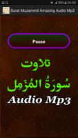 Surat Muzammil Amazing Audio स्क्रीनशॉट 2