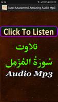 Surat Muzammil Amazing Audio اسکرین شاٹ 3