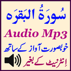 Sura Baqarah Amazing Audio Mp3 icône