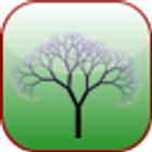 Arbor Lite - GRE Vocab icône