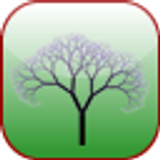 Arbor Lite - GRE Vocab icon