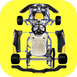 Kart Chassis Setup for racing