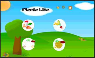 Picnic Lite 포스터
