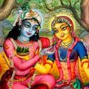 Krishnanika Kaumudi Audio Book APK